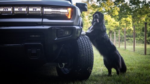 2026 Hummer EV Pickup Truck: The Dog Review