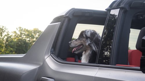 2026 Hummer EV Pickup Truck: The Dog Review