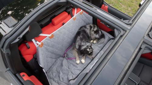 2026 Hummer EV Pickup Truck: The Dog Review
