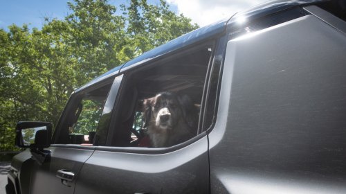 2026 Hummer EV Pickup Truck: The Dog Review