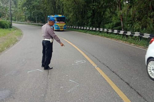 Cara Benar Menggunakan Rem Mobil di Turunan Panjang Menurut Ahli