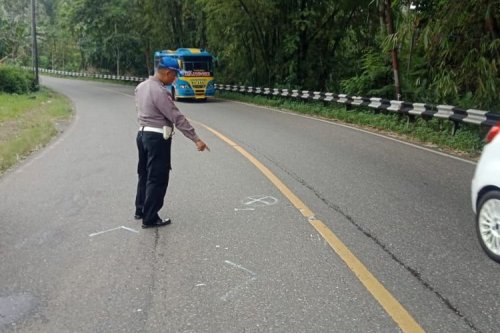 Cara Benar Menggunakan Rem Mobil di Turunan Panjang Menurut Ahli