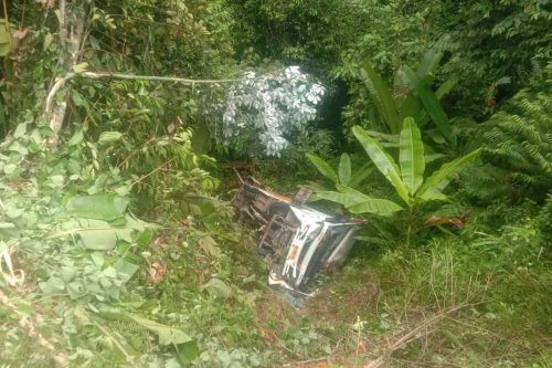 Penjelasan Damri Terkait Kecelakaan Bus Masuk Jurang di Kaltara