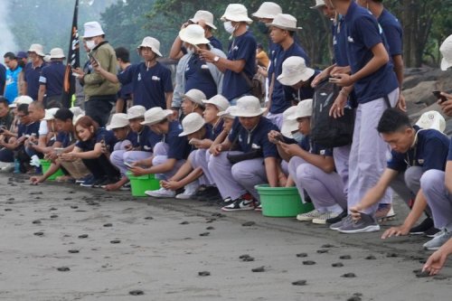 Daihatsu Perkuat Komitmen Keberlanjutan Melalui Konservasi Penyu