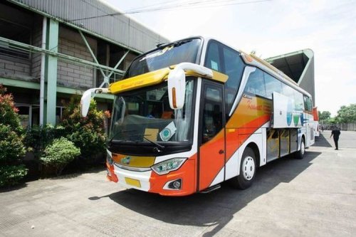 Komparasi Bus AKAP Jakarta-Denpasar: Safari Dharma Raya vs Kramat Djati