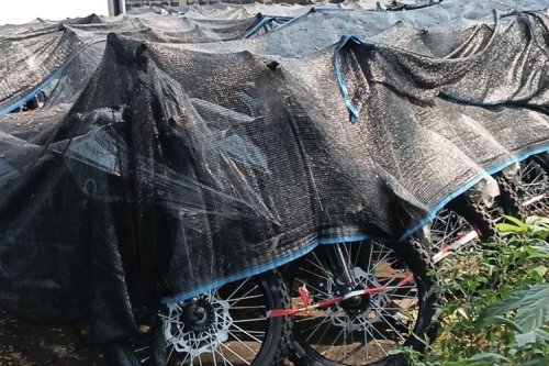 Motor Listrik Nasional Prabowo Dinilai Belum Berorientasi Pasar
