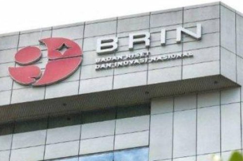 Menilai Klaim Bobibos: Kriteria untuk Bahan Bakar Nabati yang Efisien