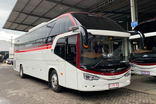 GIIAS 2025: 100 Unit Bus Hino Perkuat Layanan Transportasi Primajasa