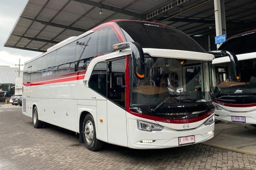 GIIAS 2025: 100 Unit Bus Hino Perkuat Layanan Transportasi Primajasa
