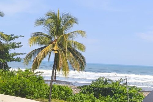 Sensasi Perjalanan Darat Klaten-Denpasar Bersama PO Mansion