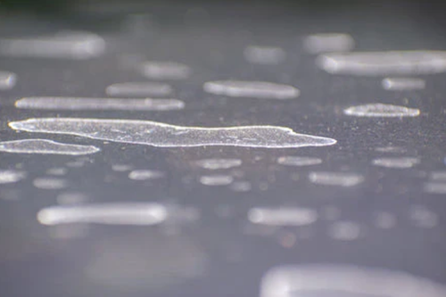 Petunjuk Membersihkan Gas Air Mata Dari Mobil Secara Aman