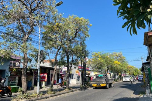 Normalkah AC Mobil Terasa Kurang Dingin Saat Cuaca Panas?