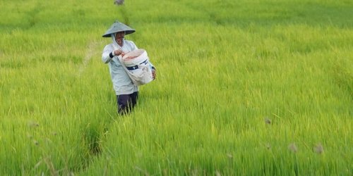Menyasar Ekonomi Desa, Estimasi Harga Mobil Rakyat Rp 50 Juta