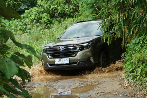 Subaru, Diajak Offroad Ringan, Subaru Forester Tetap Mudah Dikendalikan