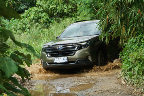 Subaru Forester: Tangguh di Medan Off-road, Nyaman untuk Harian