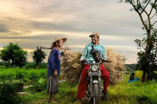 Pelanggaran Lalu Lintas di Pemukiman: Ini Kata Ahli