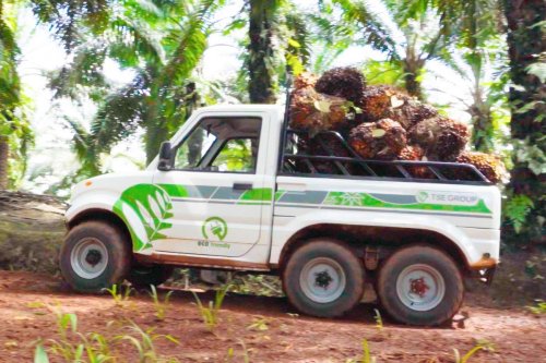 Kendaraan Listrik Mulai Masuk Sektor Perkebunan