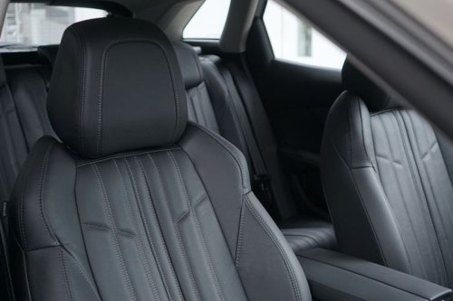 Solusi Mengatasi Jamur pada Jok Mobil