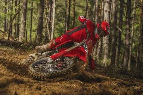 Ducati, Ducati Resmi Luncurkan Desmo450 EDS, Mesin Desmodromic