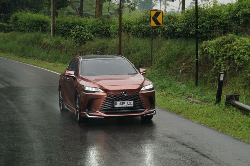 Lexus, Lexus RX, Lexus RX 450h+ Sang Chameleon