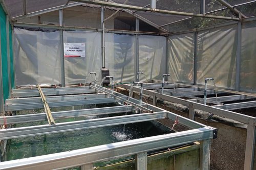 Auto2000 dan Pemkot Bekasi Resmikan Kampung Berseri Astra Jatimelati