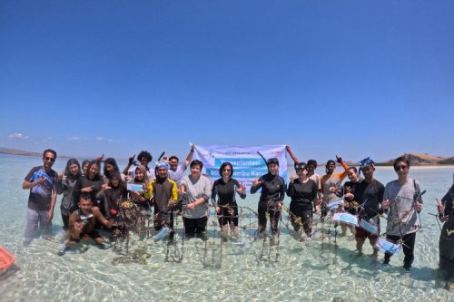 Mpmx Tanam 500 Terumbu Karang di Pulau Messah Labuan Bajo