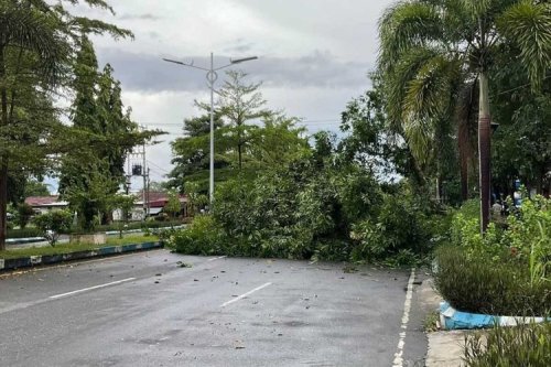 Ini yang Harus Dihindari Pengendara Saat Berkendara di Tengah Hujan