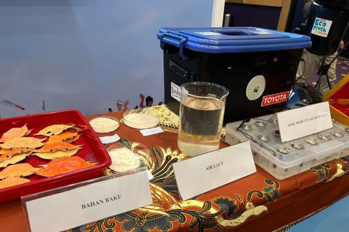 Inovasi Energi Ramah Lingkungan dari Limbah Kepiting