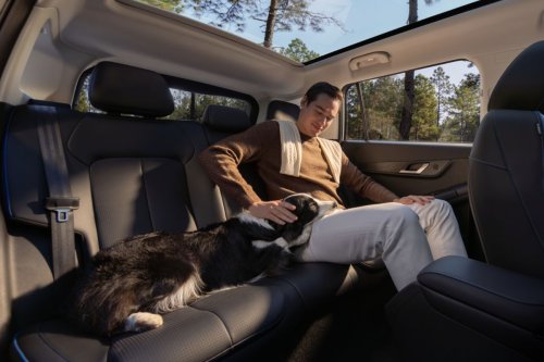 Bawa Anabul Naik Mobil Listrik? Ini Fitur Kabin yang Jadi Sorotan