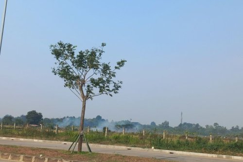 Bobibos Siap Uji Coba Terbuka: Mobil Baru, 24 Jam, Lalu Bongkar Mesin