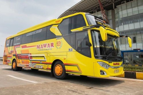 4 PO Bus Sapu Jagat Legendaris yang Masih Eksis