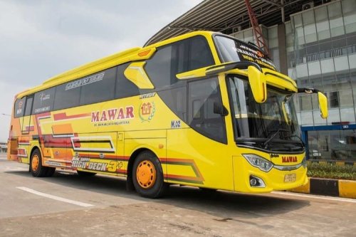 4 PO Bus Sapu Jagat Legendaris yang Masih Eksis