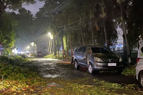 Pohon Tumbang Renggut Nyawa di Bandung: Pelajaran Keselamatan Jalan