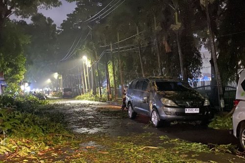Pohon Tumbang Renggut Nyawa di Bandung: Pelajaran Keselamatan Jalan