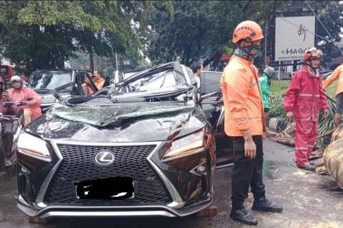 Kronologi Mobil Lexus Tertimpa Pohon Tumbang di Pondok Indah