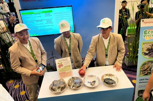 Inovasi Buah Simpalak Jadi Sumber Energi Terbarukan