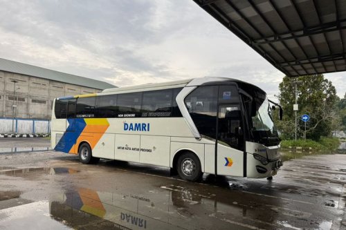 DAMRI Buka Rute Langsung Pontianak - Palangkaraya Tanpa Transit