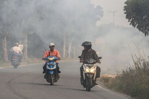 Ini Jenis Masker yang Bisa DIpakai Pemotor Saat Kabut Asap Karhutla