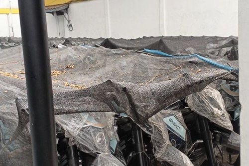Nasib Motor Listrik MBG Mulai Terang, BGN Pastikan Tetap Dimanfaatkan