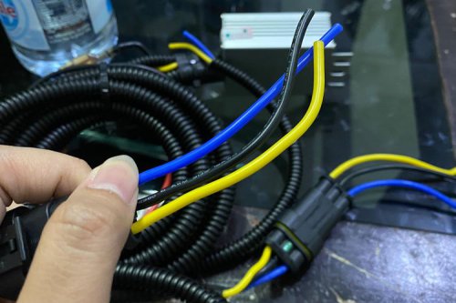 Musim Hujan, Waspada Tikus Menggigit Kabel Kendaraan dan Cara Mencegahnya