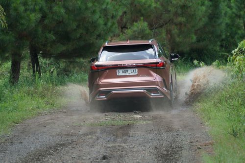 Lexus RX 450h+ Sang Chameleon