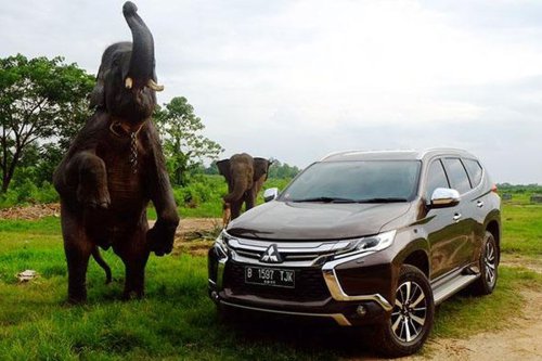 Harga SUV Ladder Frame Bekas Juli 2025, Pajero Sport dan Fortuner Rp 200 Jutaan