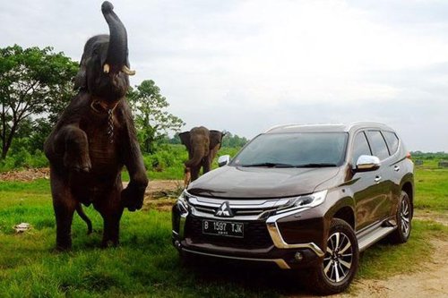 Harga SUV Ladder Frame Bekas Juli 2025, Pajero Sport dan Fortuner Rp 200 Jutaan