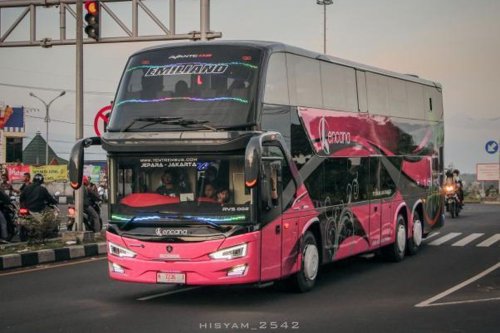Perbandingan Layanan Bus Jakarta-Jepara: PO KencanaQu vs PO Rimba Raya