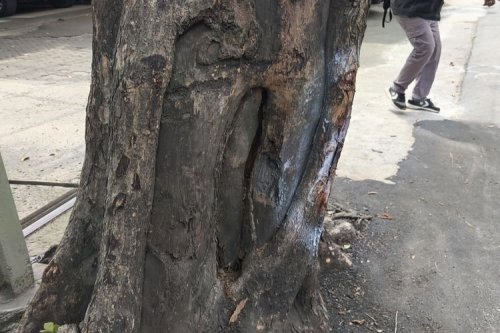 Penyebab Kecelakaan Gary Iskak: Motor RX-King Diduga Hilang Kendali