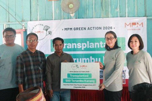 Mpmx Tanam 500 Terumbu Karang di Pulau Messah Labuan Bajo