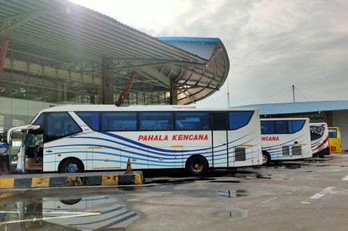 Pilihan Bus AKAP Rute Jakarta ke Bali, Tikat mulai Rp 600.000