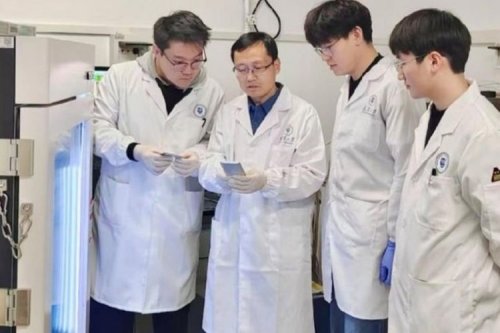 China Kembangkan Baterai Mobil Listrik dari Bahan Mirip Plastik