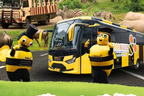 Deretan PO Bus yang Punya Livery Unik, dari AKAP hingga Pariwisata