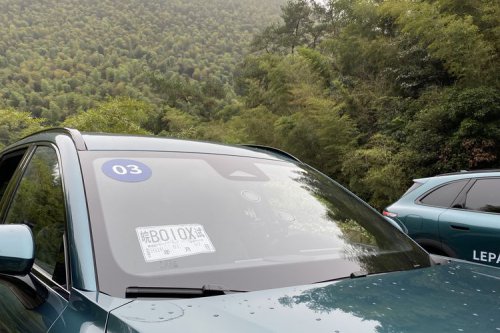 Tampilan Pelat Nomor Sementara Kendaraan di China